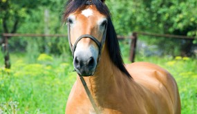 Test news category 3